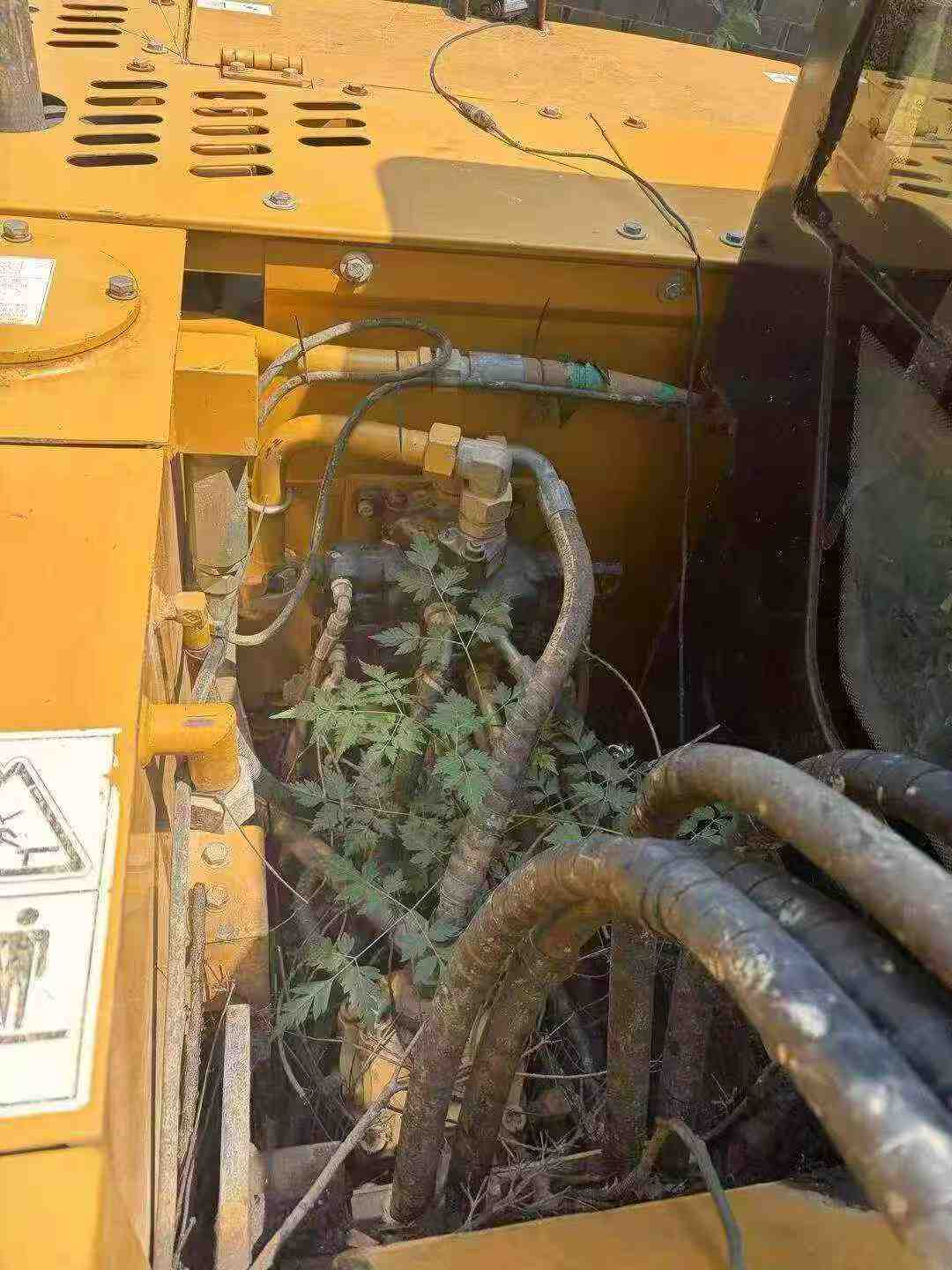 Buy Sany SY75C-8 Used Excavator / 8
