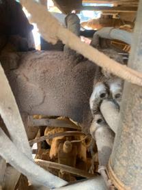 Buy Sany Used Excavator / 8 Buy Sany Used Excavator / 8