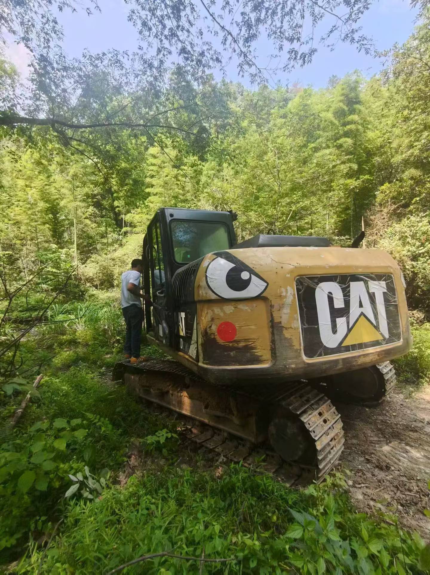 Comprar Caterpillar 313D Usado Excavadora