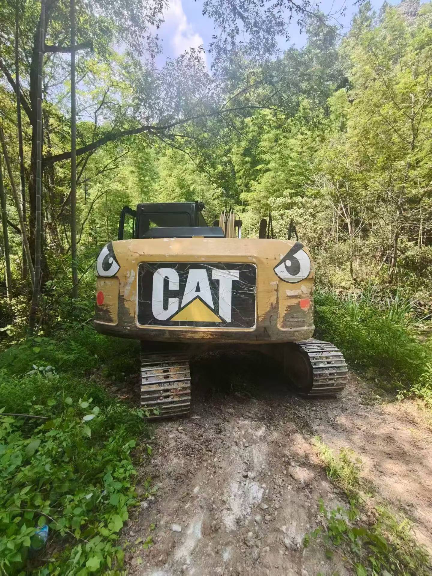 Compre Excavadora Caterpillar 313D Usada / 2
