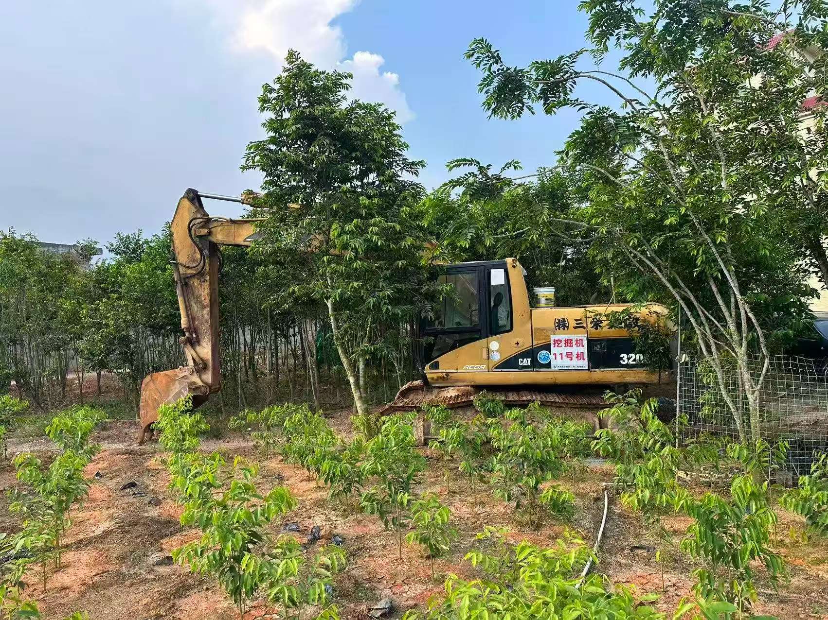 Compre Excavadora Caterpillar 320C Usada / 5