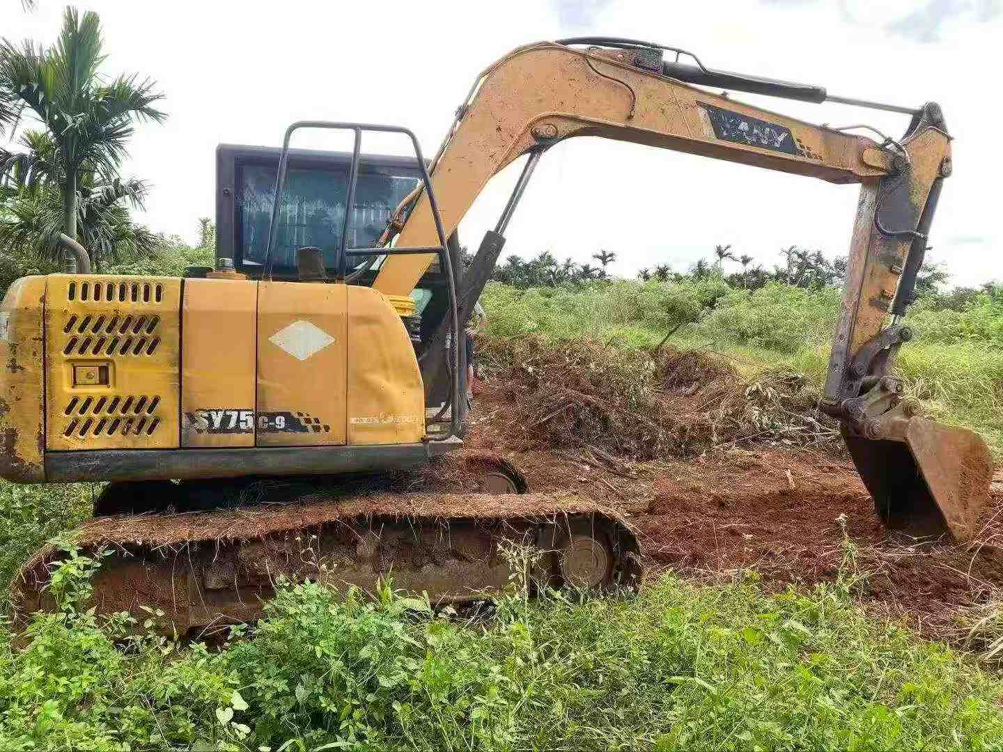 Compre Excavadora Sany SY75C-8 Usada / 2