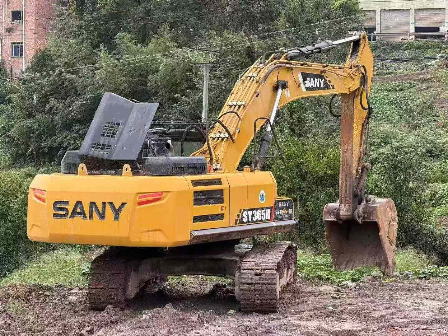 Comprar Sany SY365H Usado Escavadeira