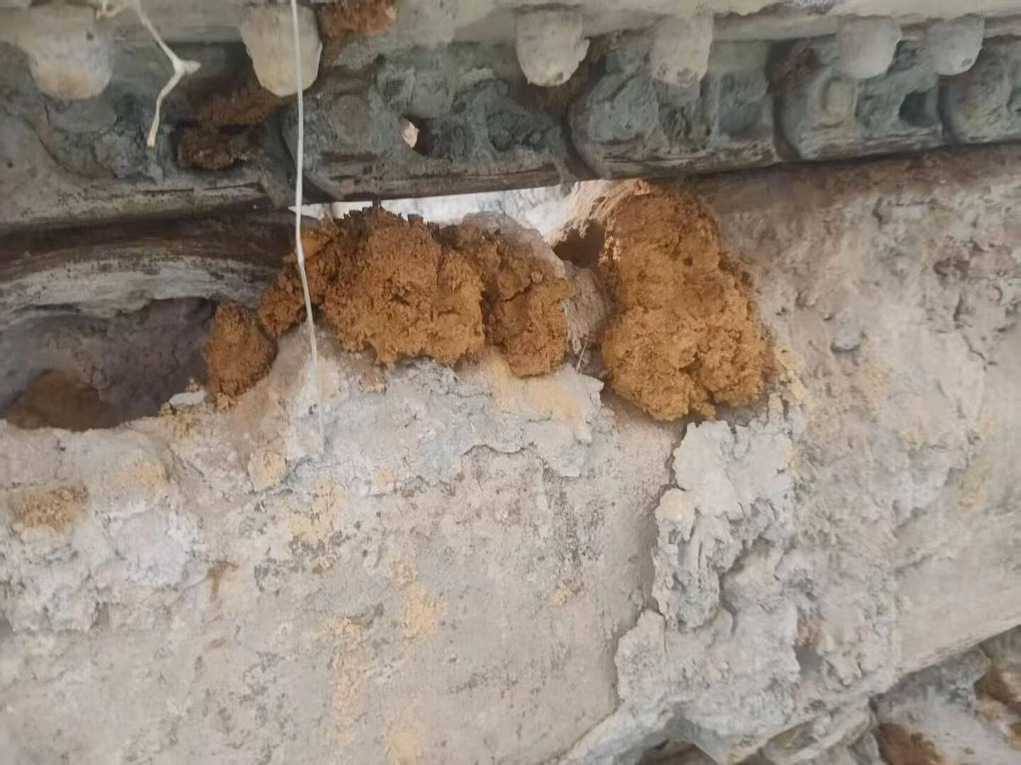 Buy Caterpillar 307B Used Excavator / 3