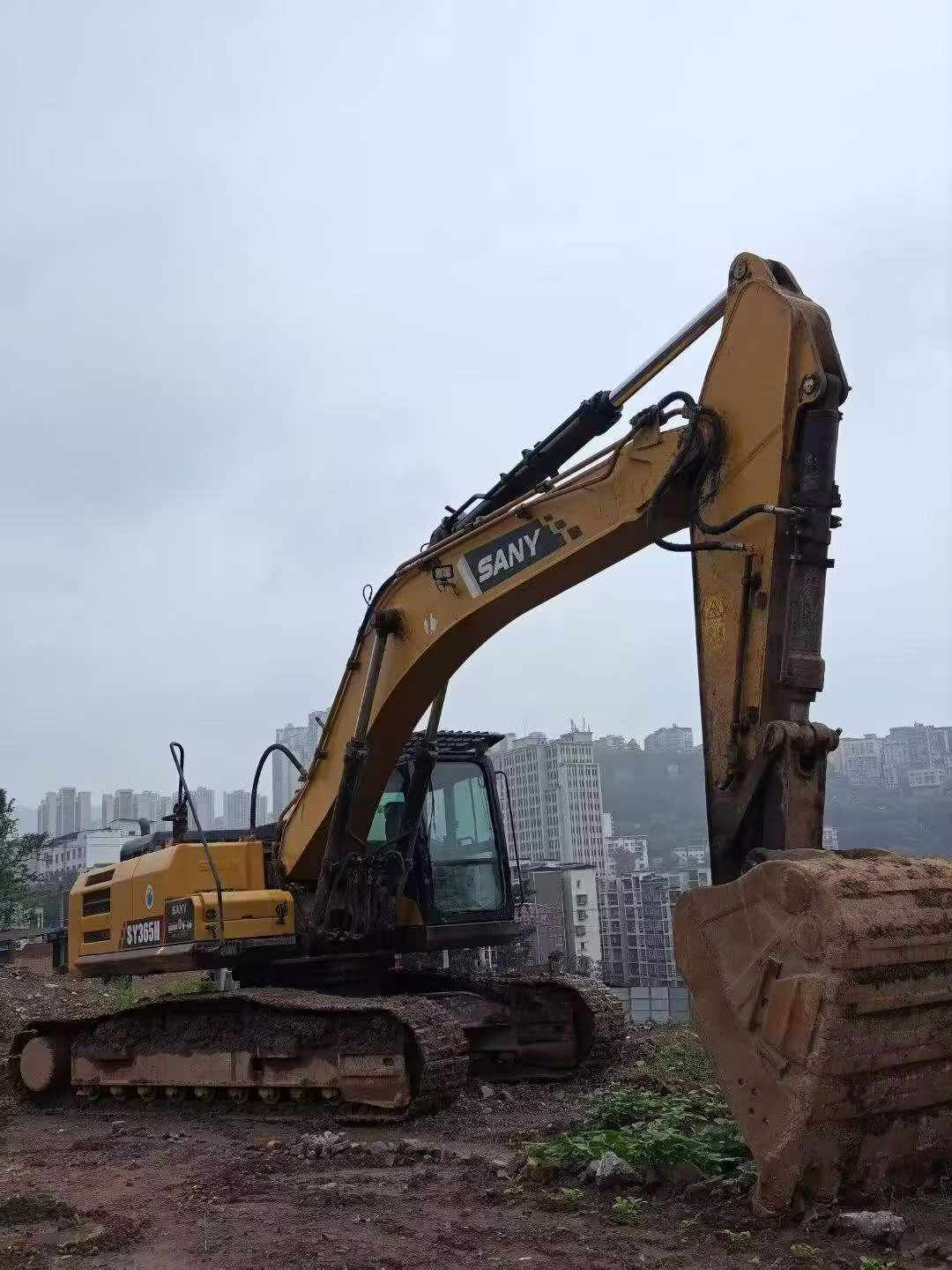شراء حفارة Sany SY365H مستعملة / 3