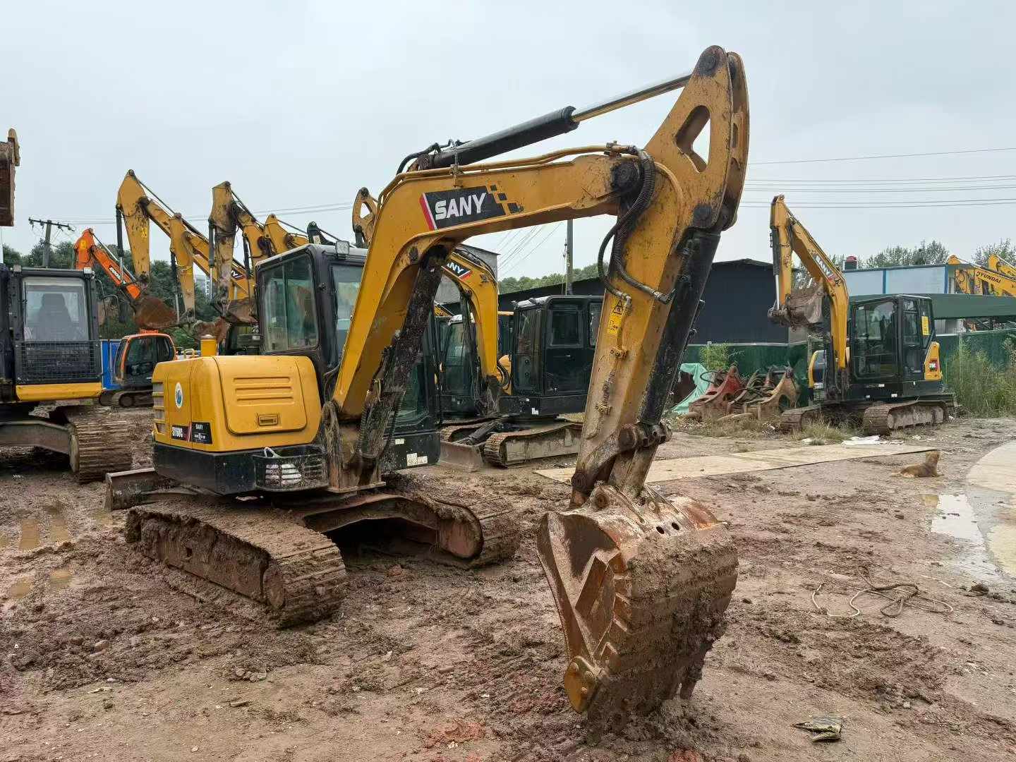 Buy Sany SY60 Used Excavator / 3