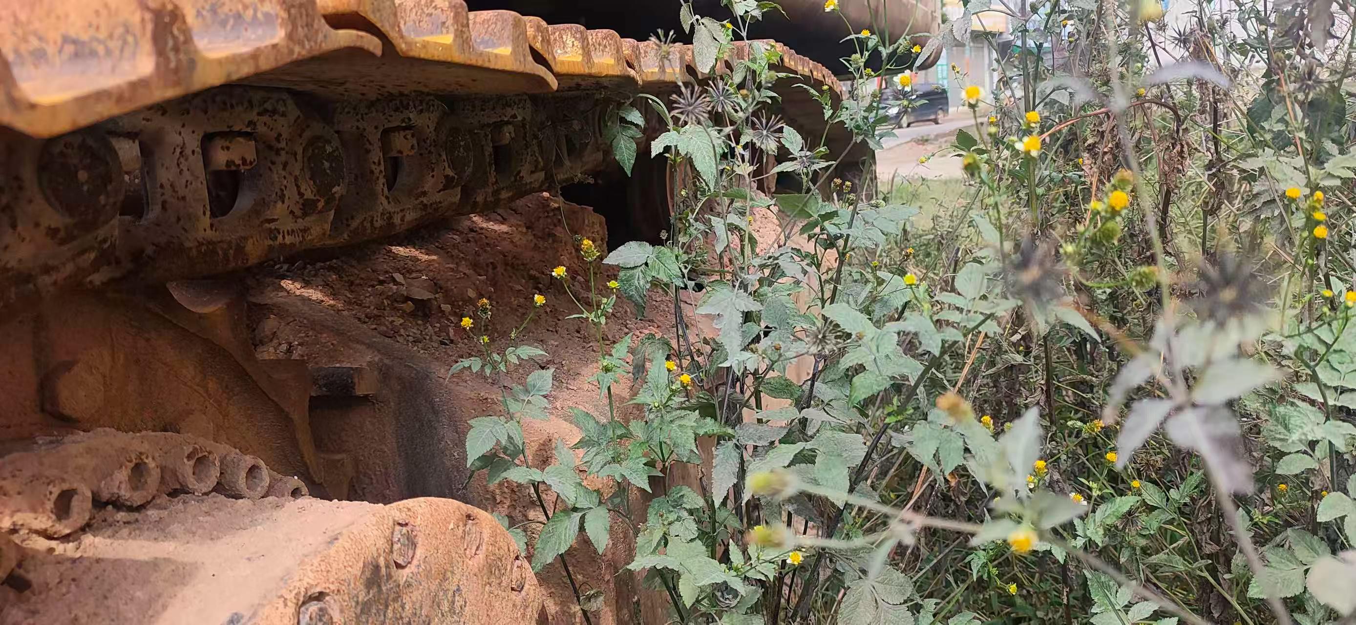 شراء حفارة Caterpillar 336E مستعملة / 9