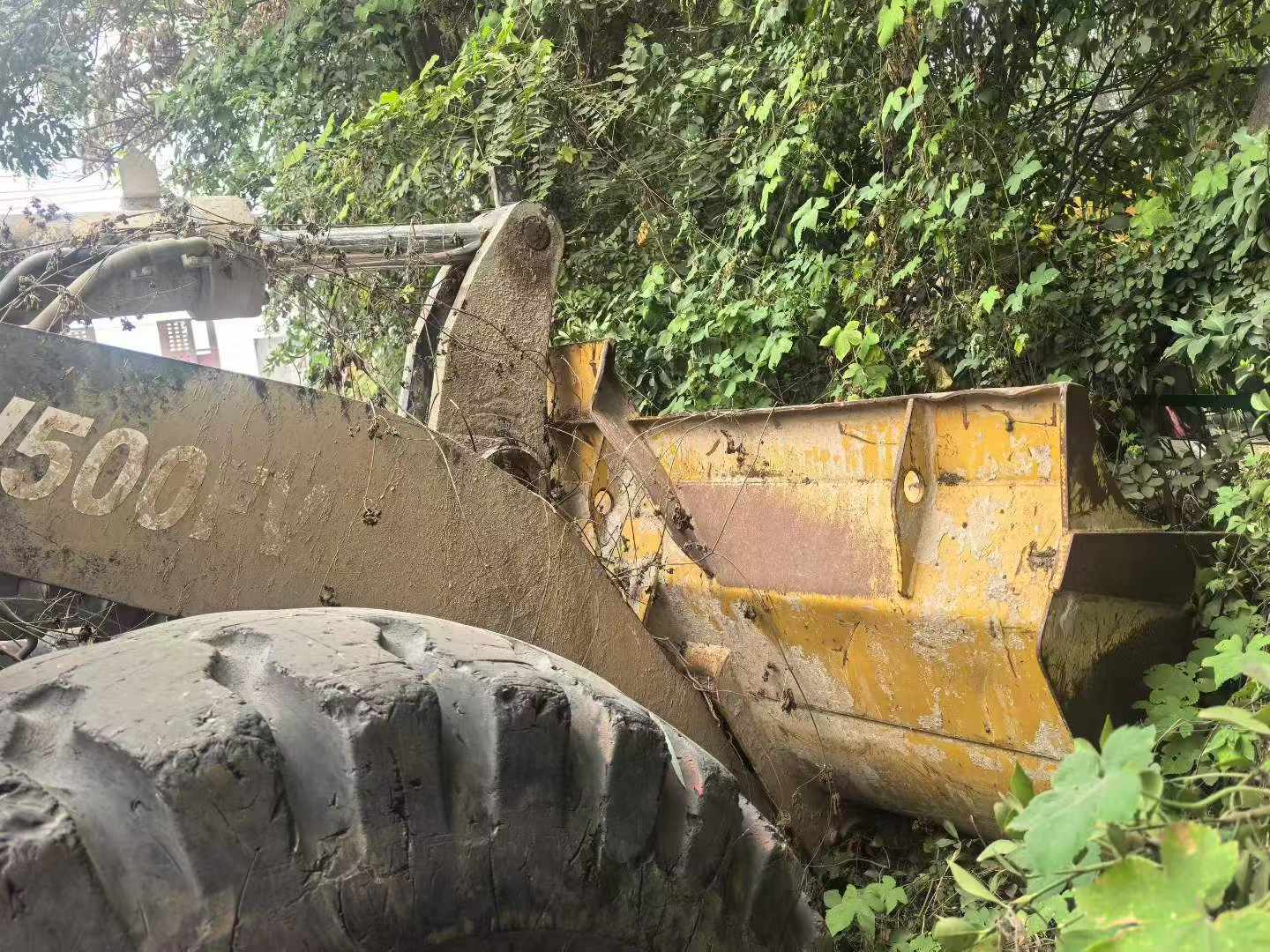 Buy XCMG LW500FV Used Loader / 3 Buy XCMG LW500FV Used Loader / 3