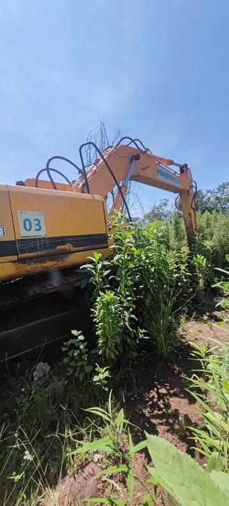 Buy Hyundai R305LC-7 Used Excavator / 1