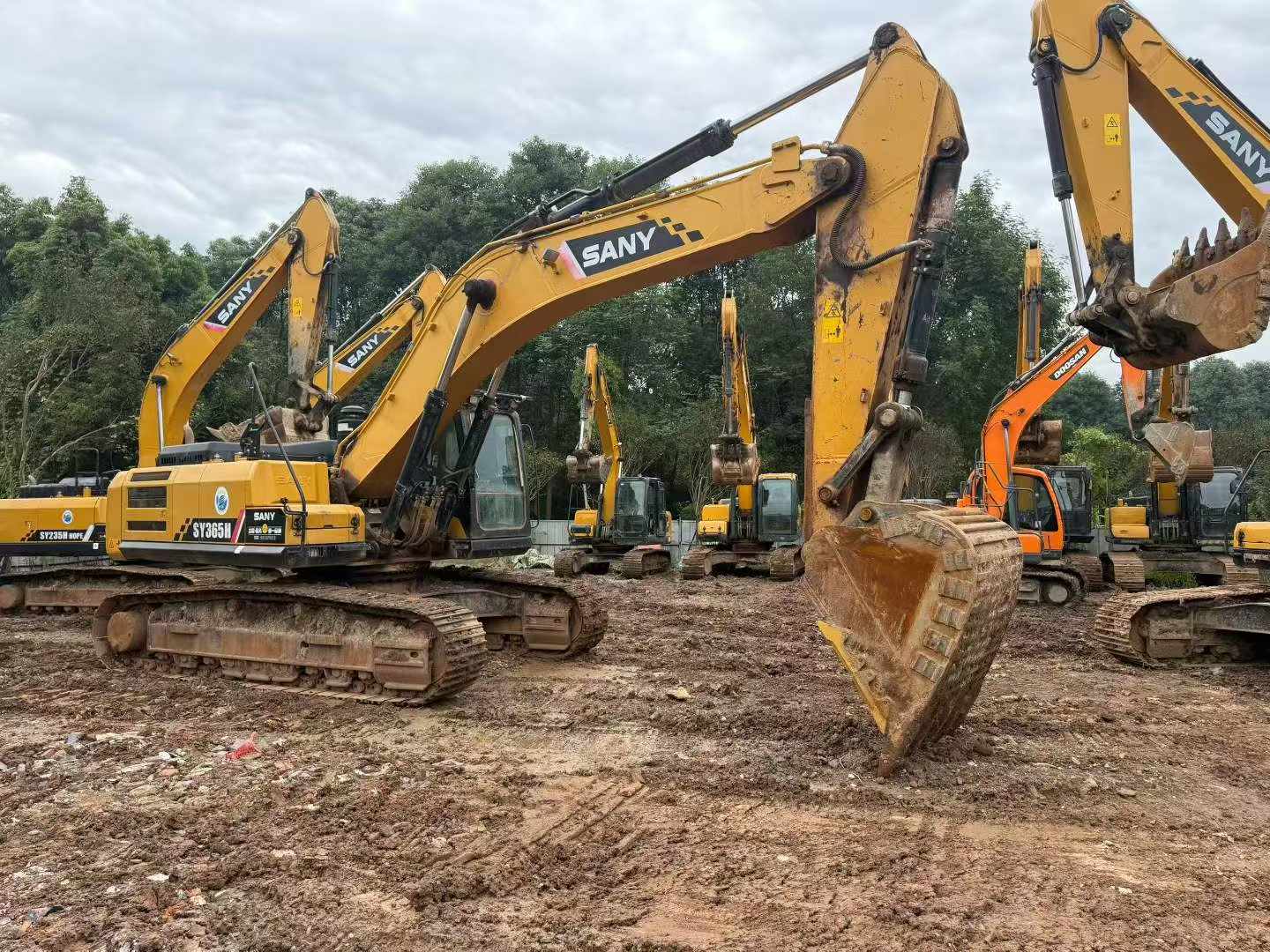 Buy Sany SY365C Used Excavator / 3 Buy Sany SY365C Used Excavator / 3