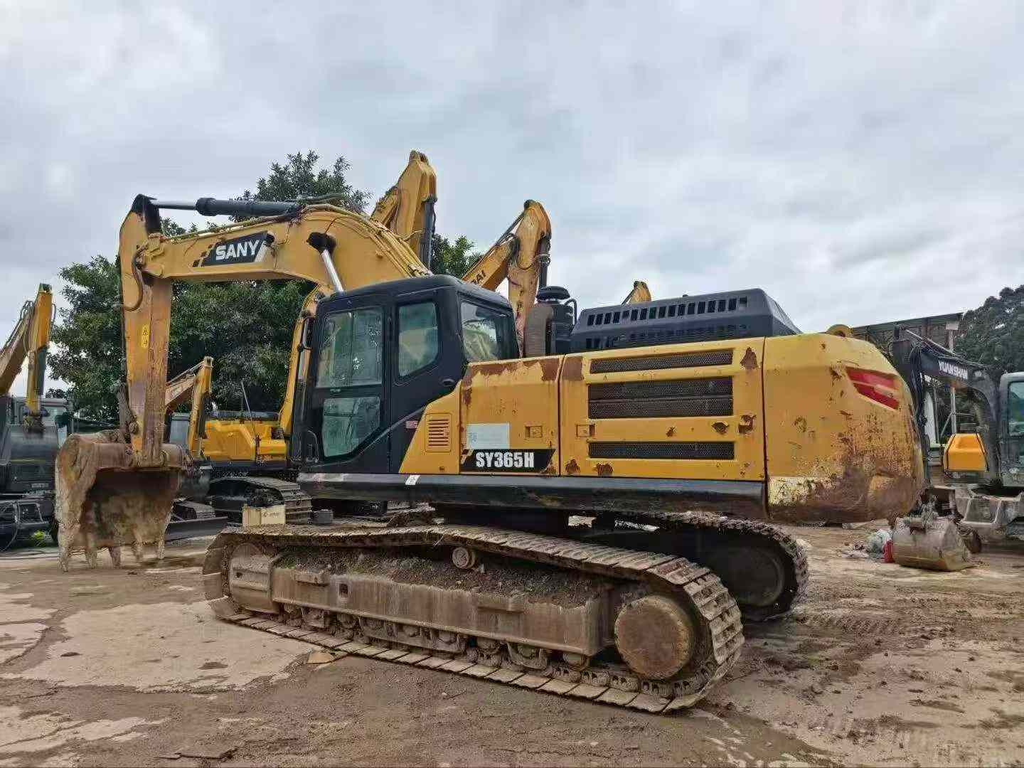 Buy Sany SY365C Used Excavator / 4