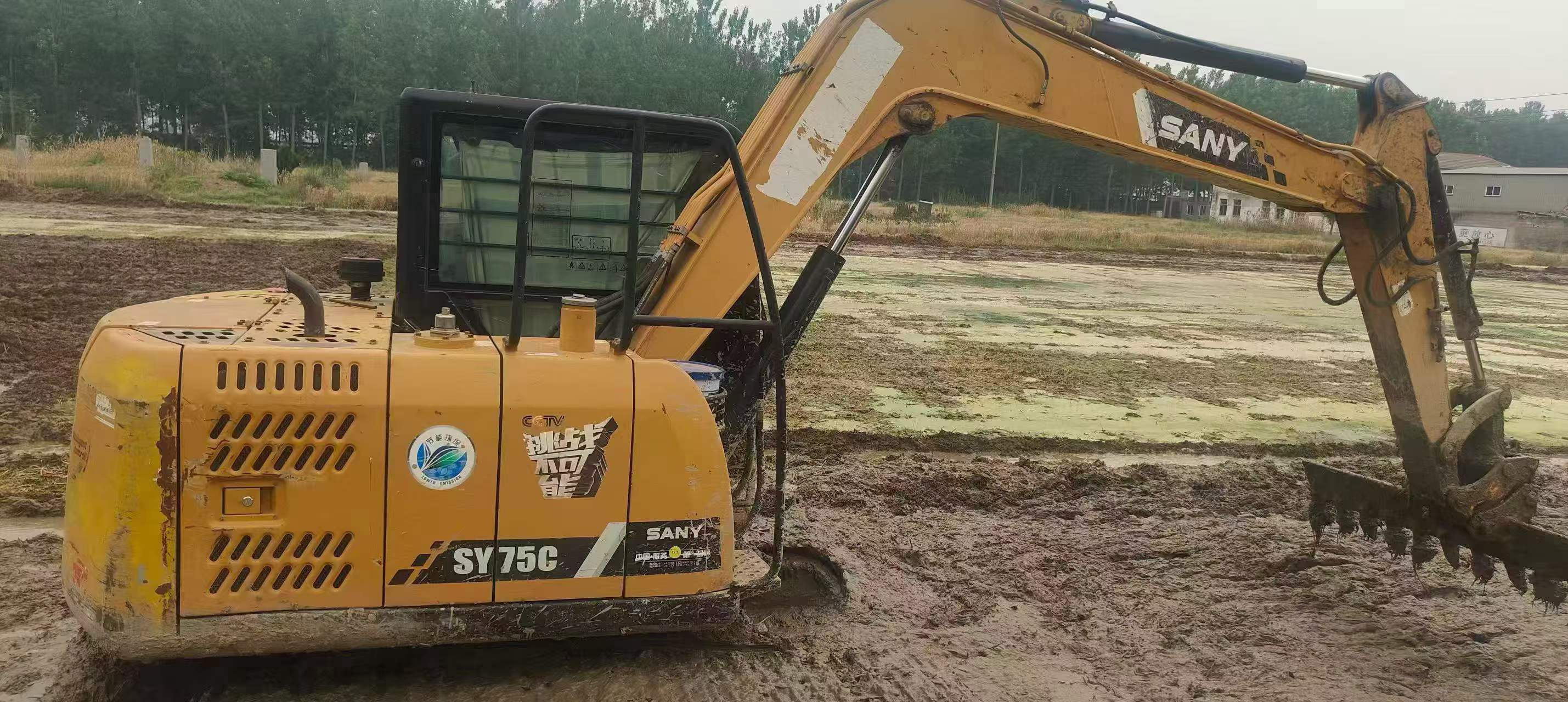 Buy Sany SY75 Used Excavator / 5