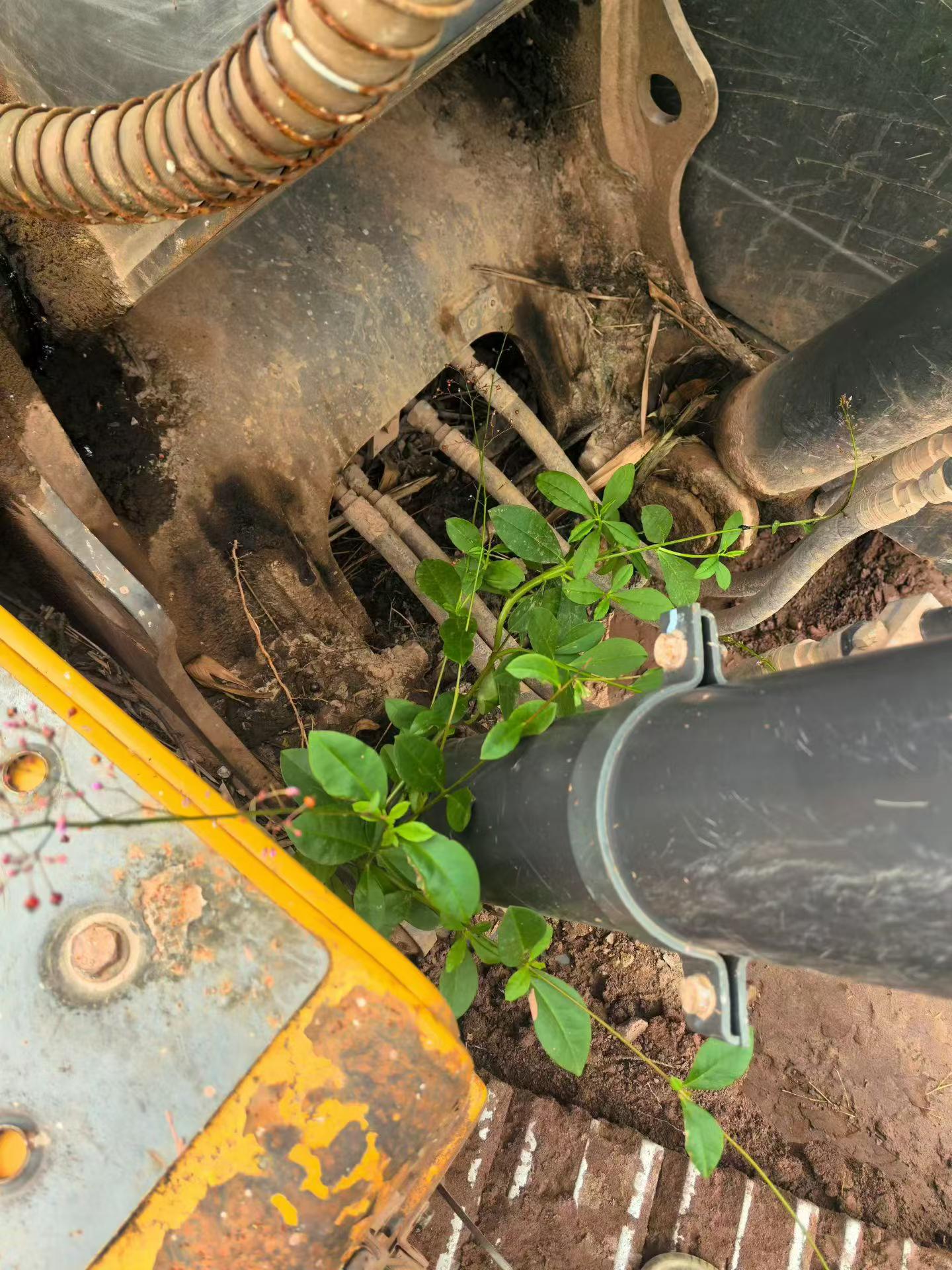 Compre Excavadora Hyundai R130W Usada / 6