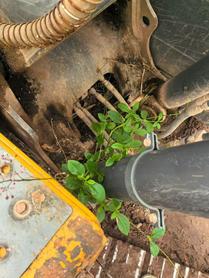 Buy Hyundai R130W Used Excavator / 9 Buy Hyundai R130W Used Excavator / 9