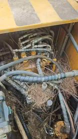 Buy Sany SY135 Used Excavator / 2 Buy Sany SY135 Used Excavator / 2