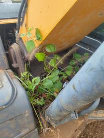 Buy XCMG XE200 Used Excavator / 4 Buy XCMG XE200 Used Excavator / 4