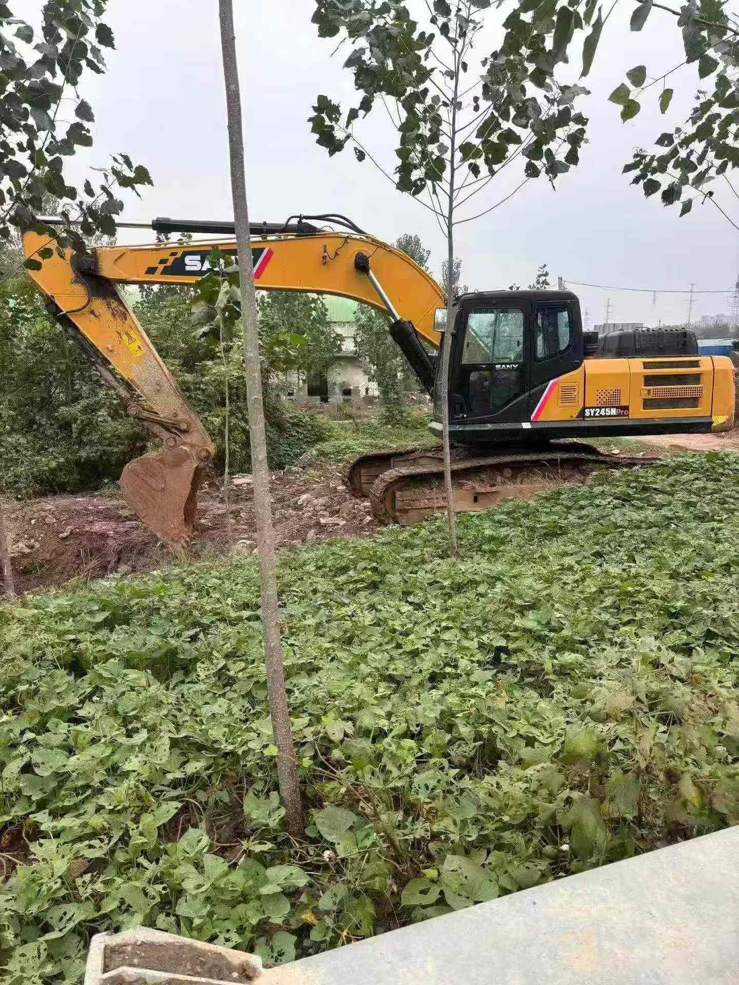 Buy Sany SY245H Used Excavator / 8