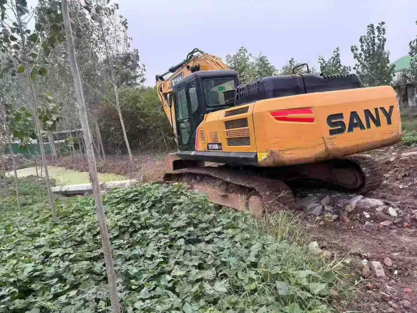 Buy Sany SY245H Used Excavator / 3