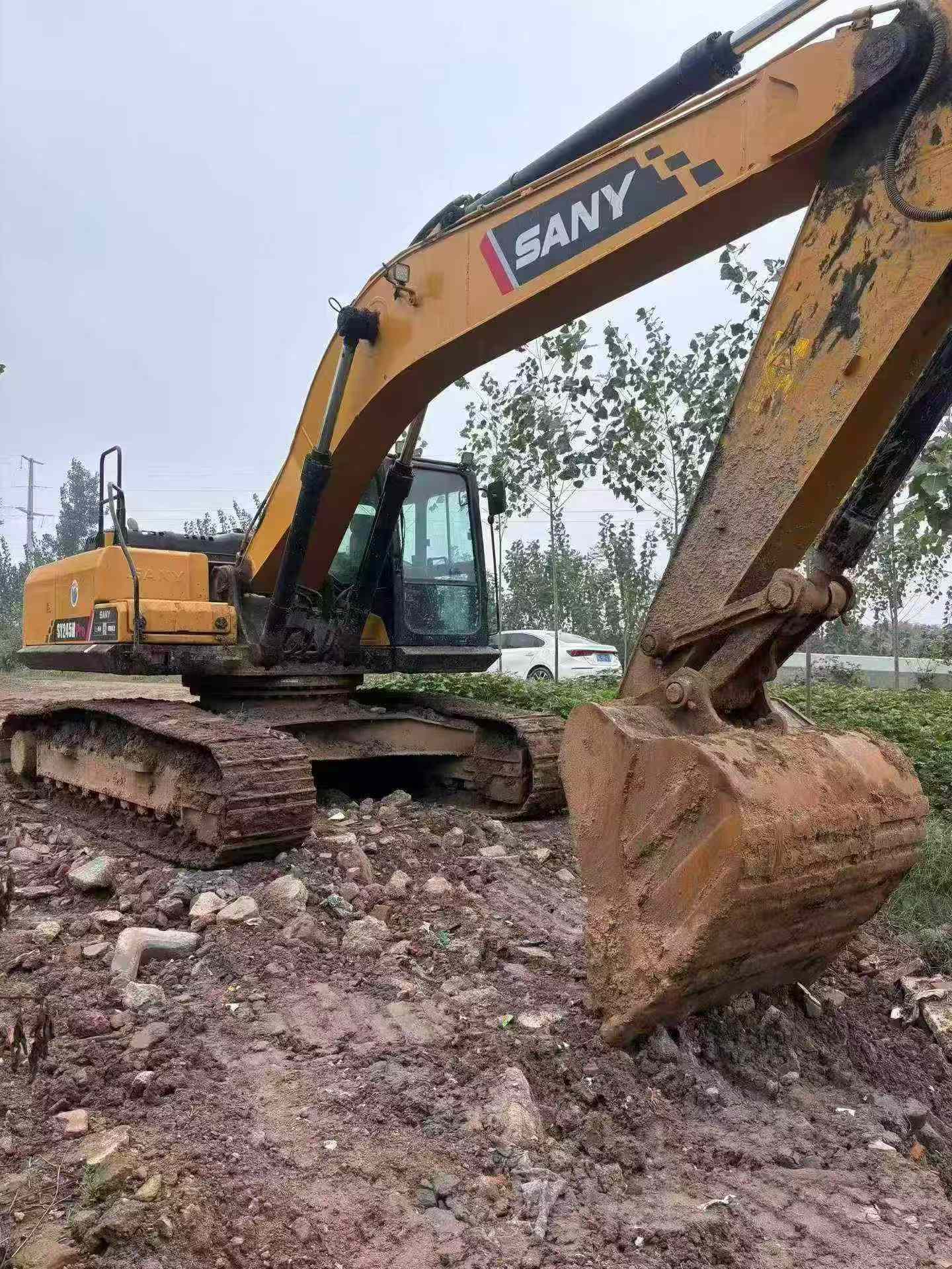 Buy Sany SY245H Used Excavator / 2