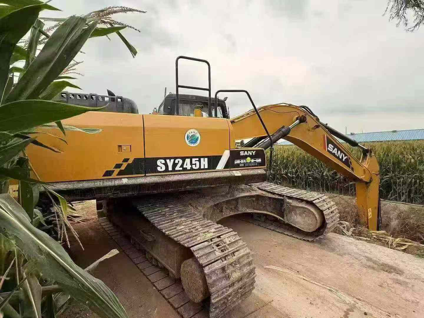 Buy Sany SY245H Used Excavator / 2