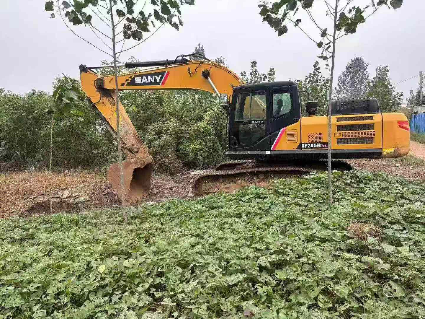 Buy Sany SY245H Used Excavator / 4