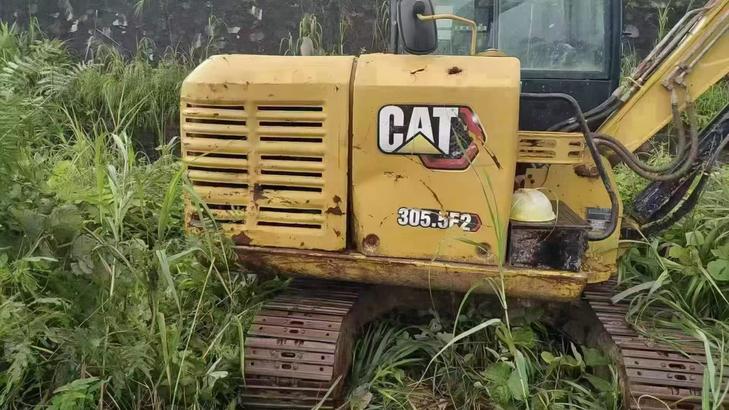 Buy Caterpillar 305.5 Used Excavator / 1