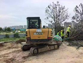 Buy Sany SY60 Used Excavator / 2 Buy Sany SY60 Used Excavator / 2