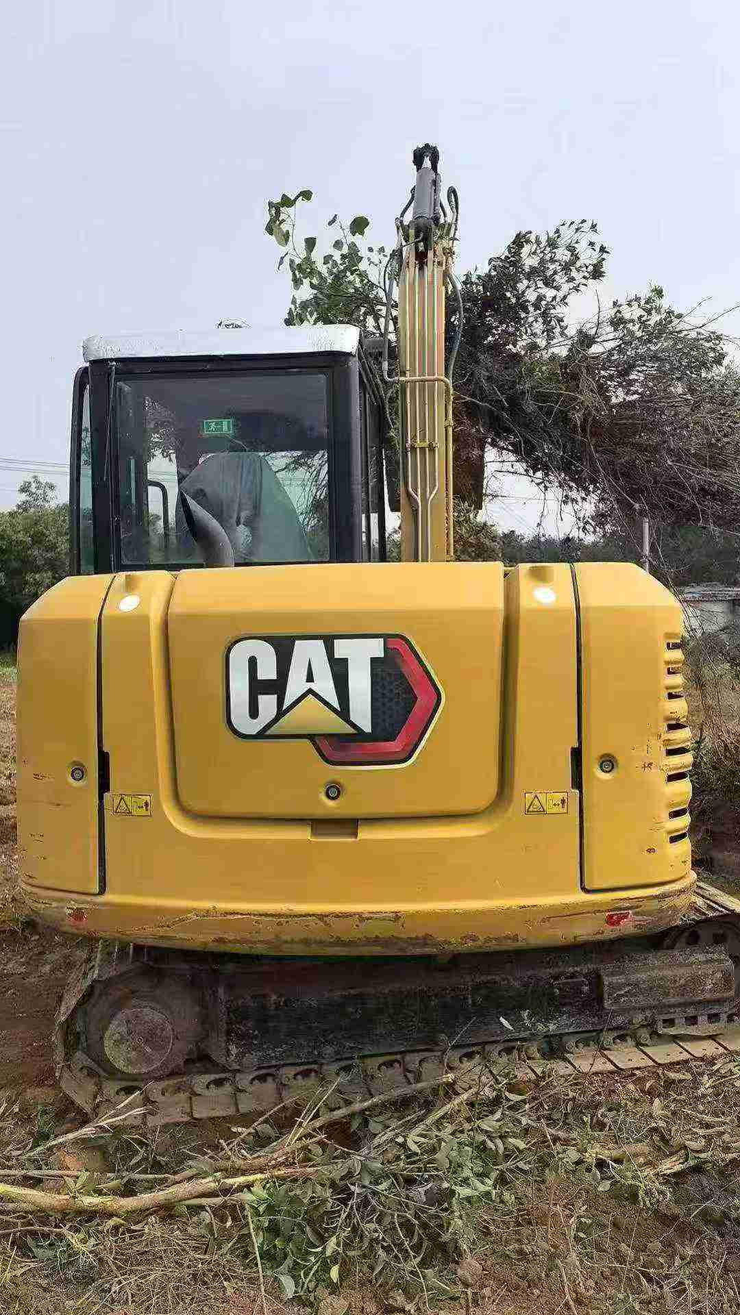 Buy Caterpillar 305.5 Used Excavator / 3
