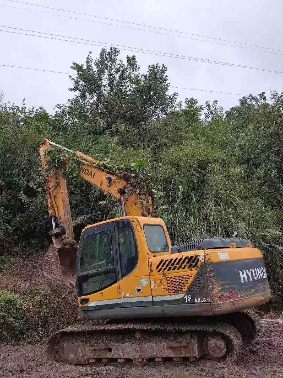 Buy Hyundai R150-7 Used Excavator / 8