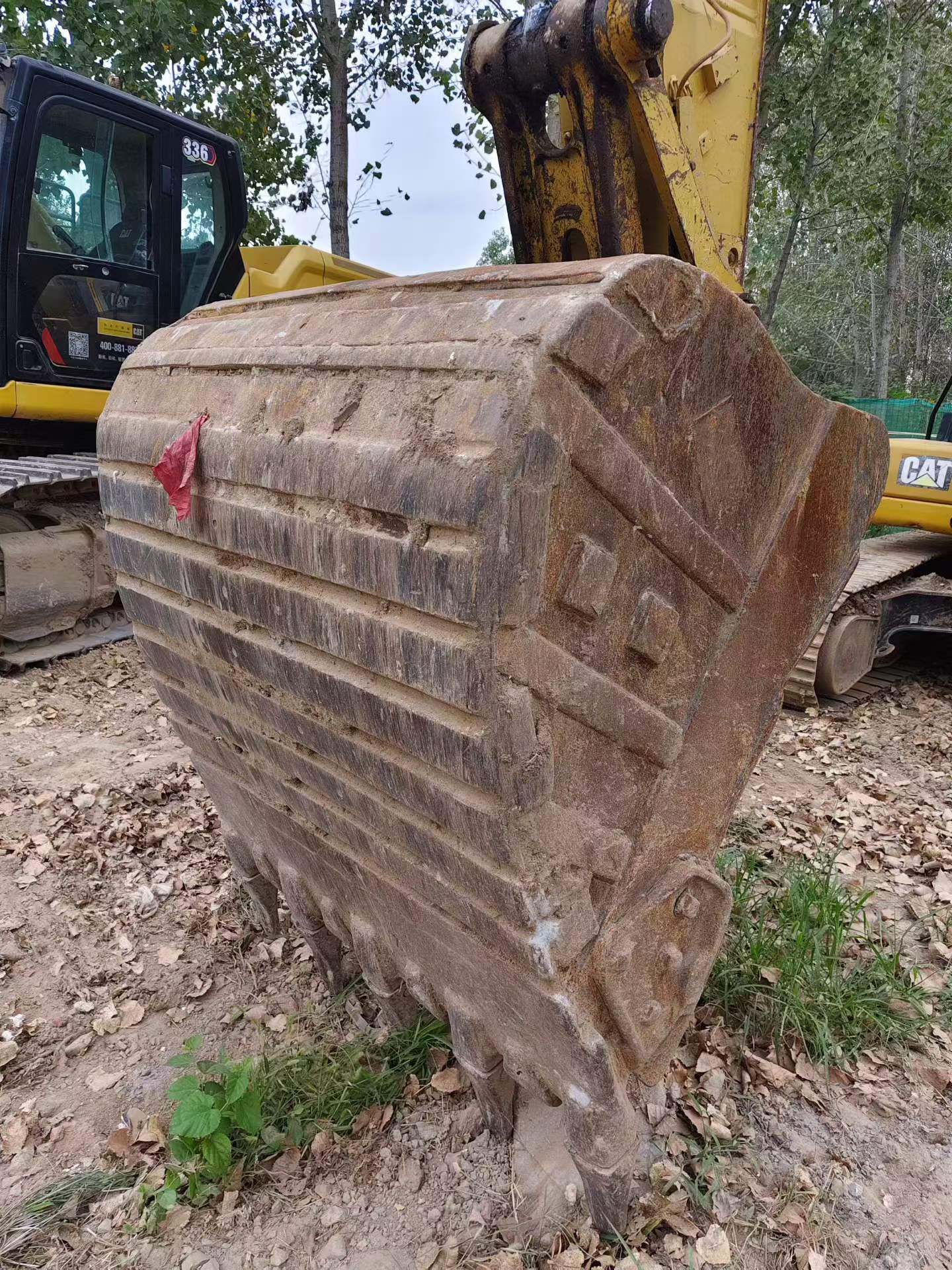 Buy Caterpillar 323 Used Excavator / 9