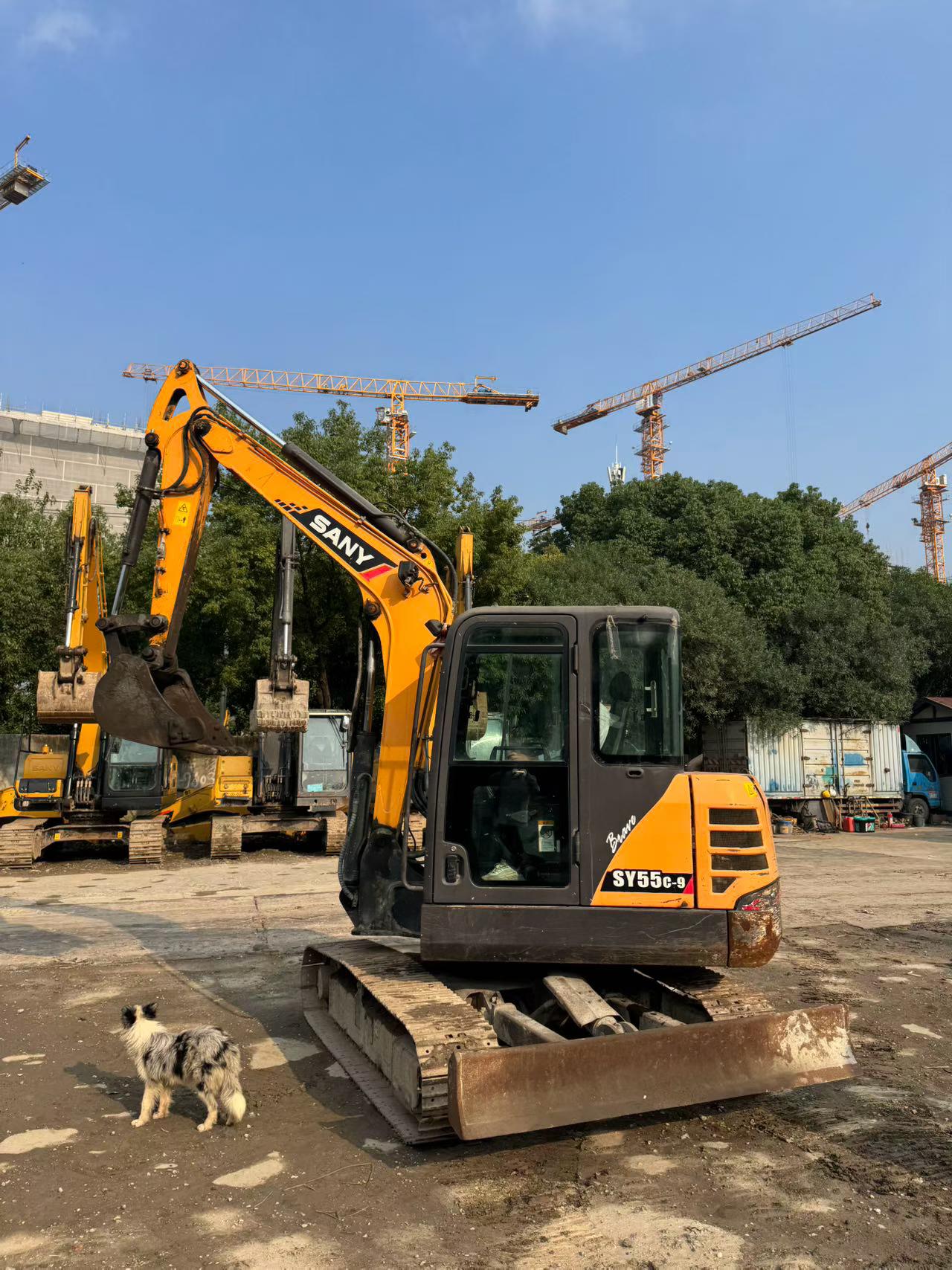 Buy Sany SY55C-9 Used Excavator / 3