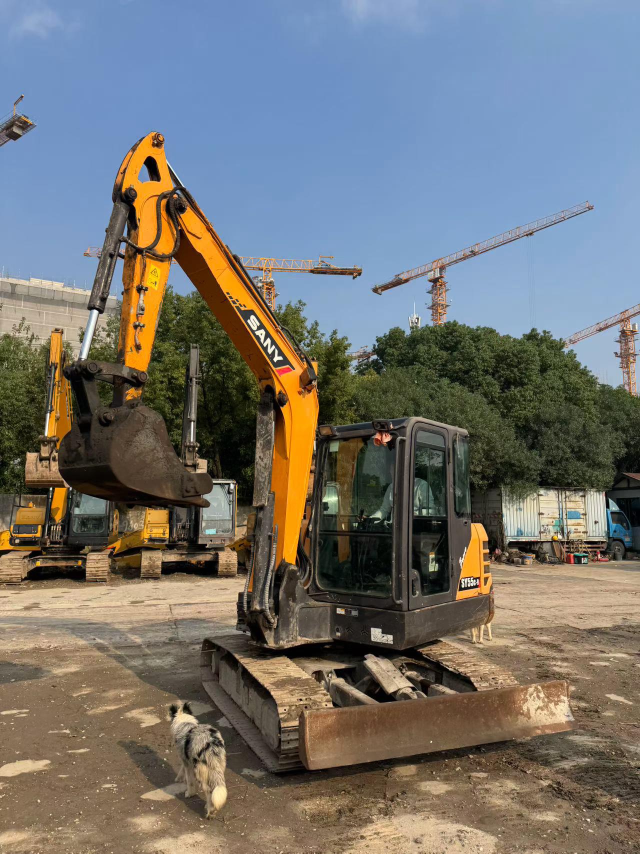 Buy Sany SY55C-9 Used Excavator / 2