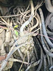 Buy Sumitomo SH210-5 Used Excavator / 6 Buy Sumitomo SH210-5 Used Excavator / 6