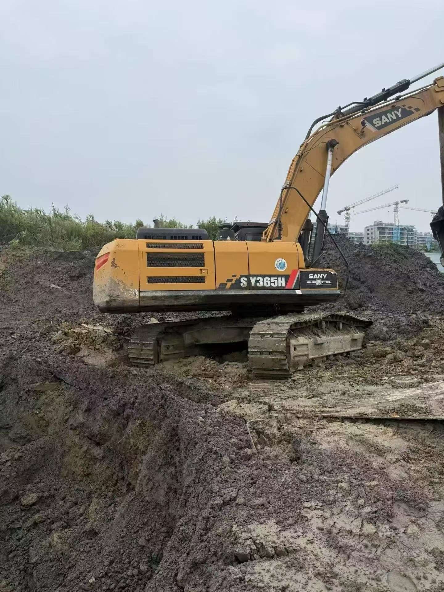 Buy Sany SY365C Used Excavator / 5