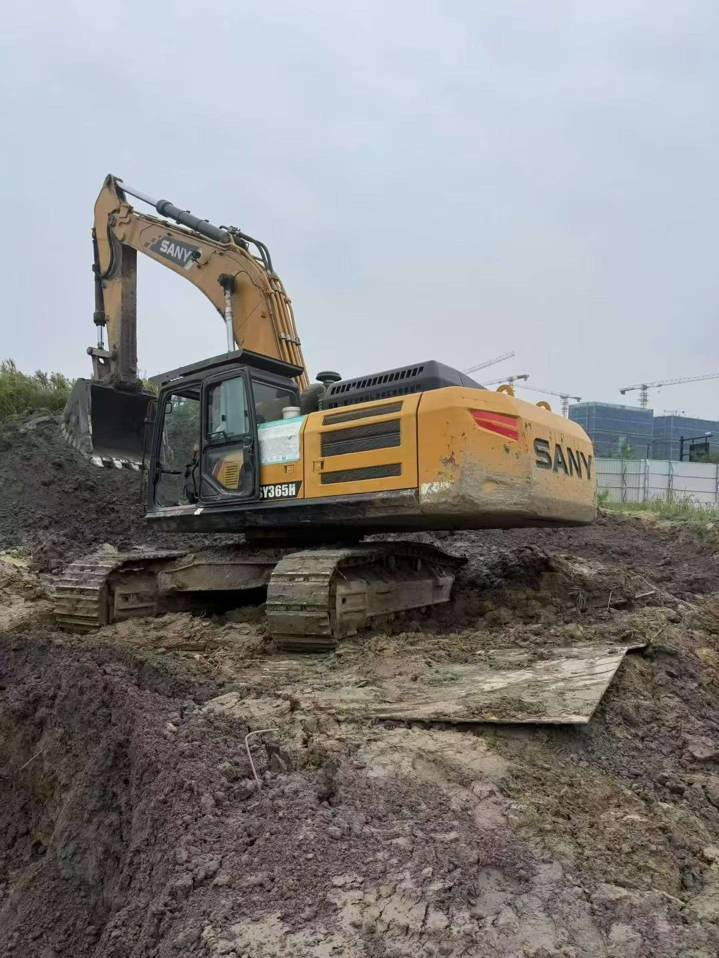 Buy Sany SY365C Used Excavator / 2