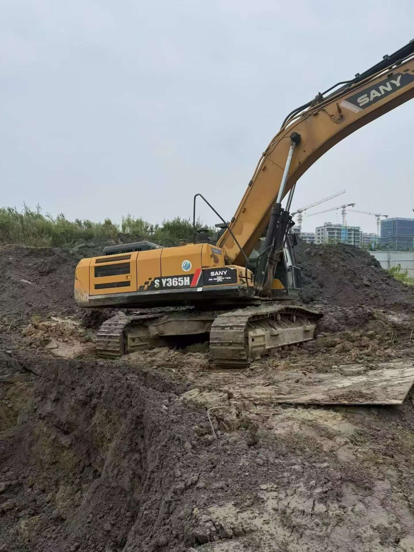 Buy Sany SY365C Used Excavator / 3