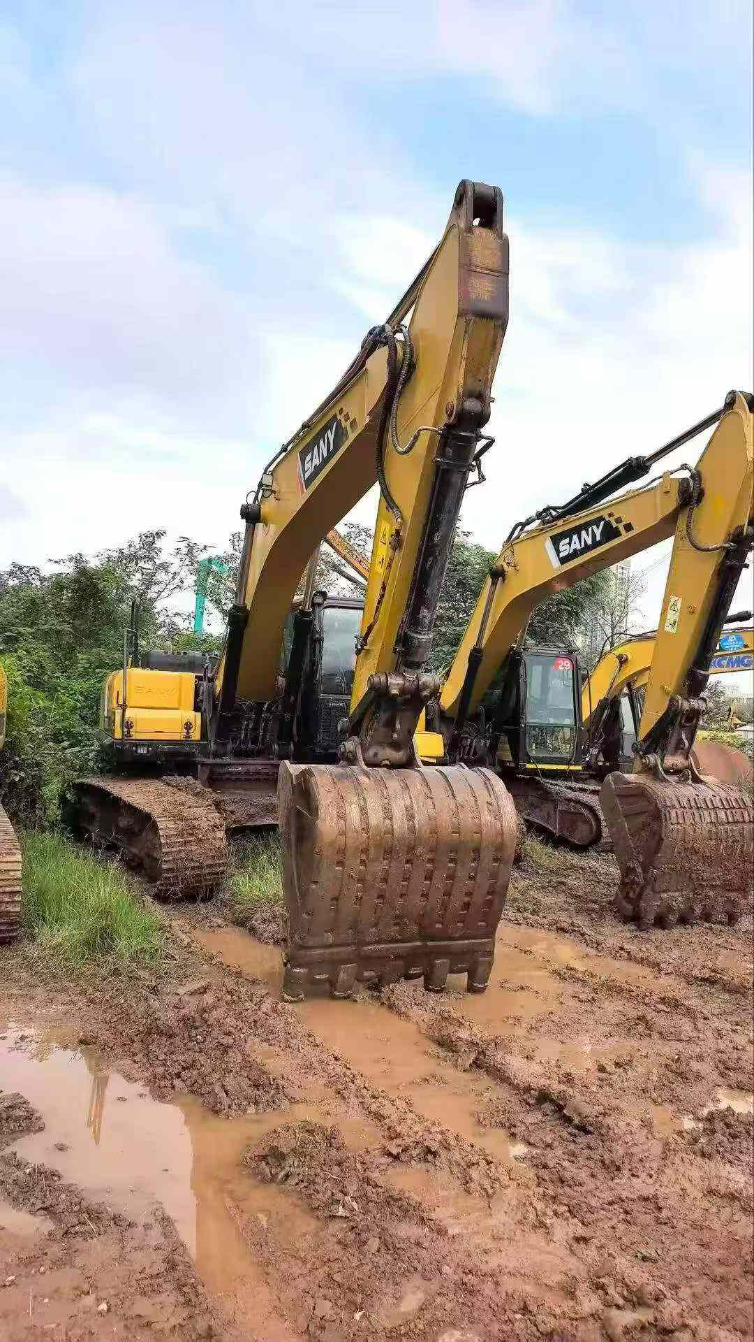 Buy Sany SY245H Used Excavator / 4