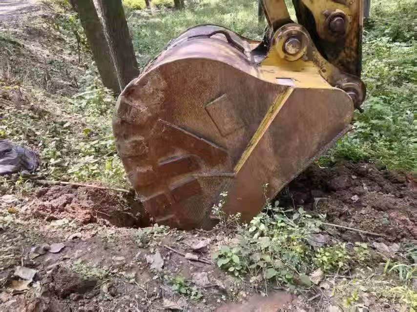 Buy Caterpillar 323 Used Excavator / 5