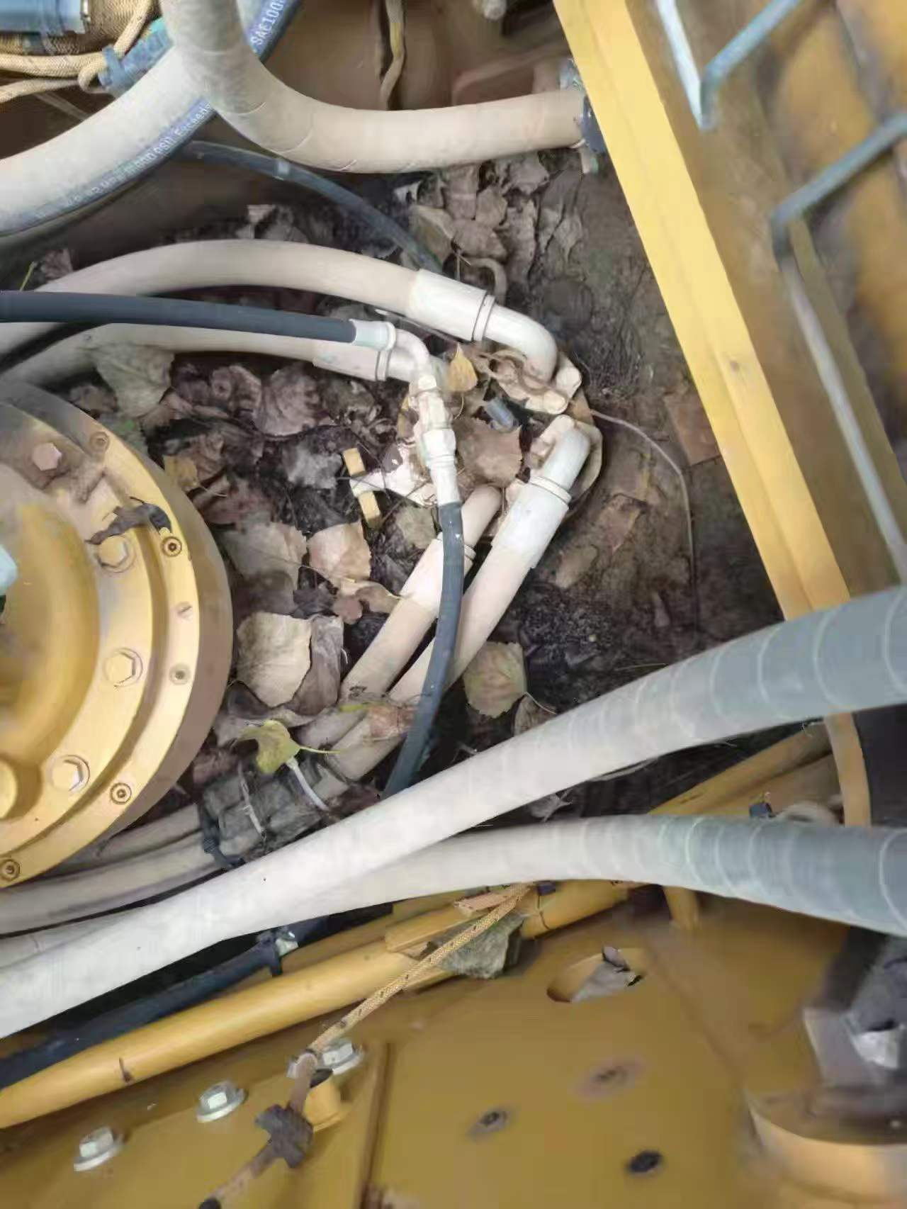 Buy Caterpillar 323 Used Excavator / 7