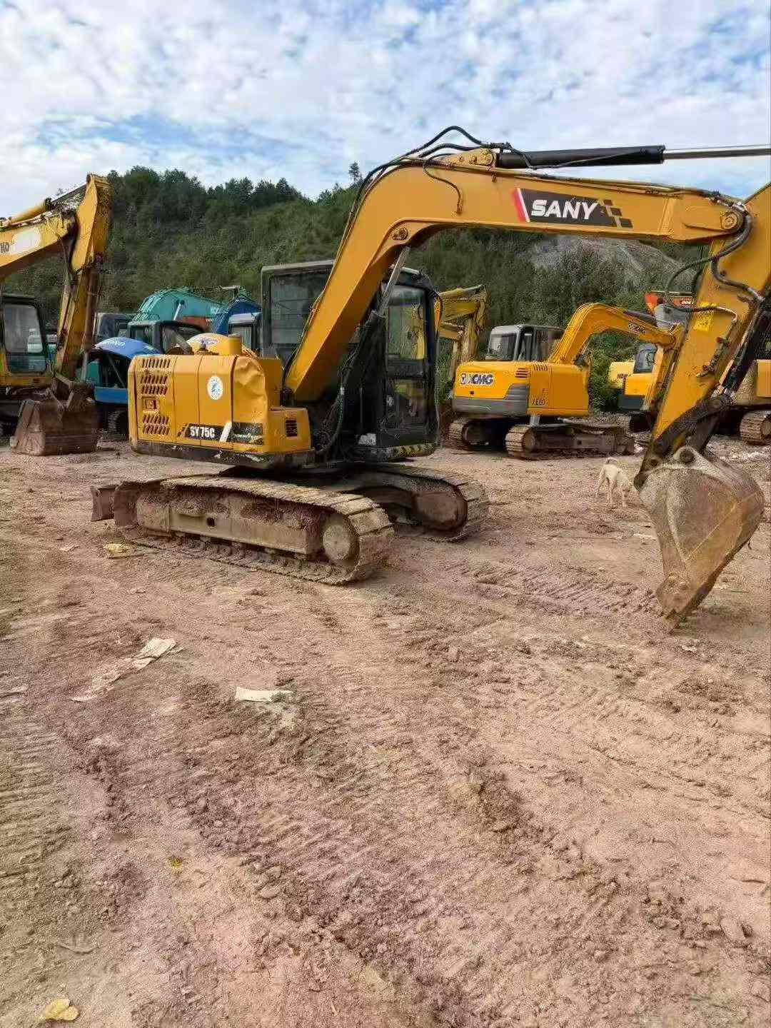 Buy Sany SY75 Used Excavator / 3