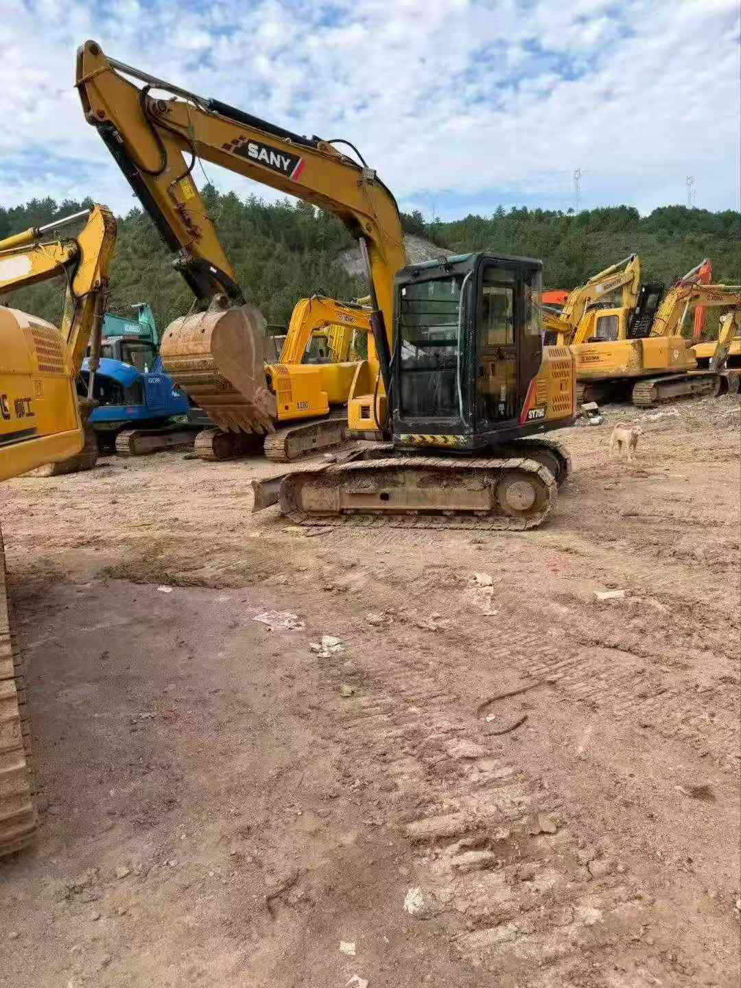 Buy Sany SY75 Used Excavator / 2