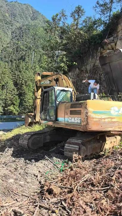 Buy Case CX360 Used Excavator / 1